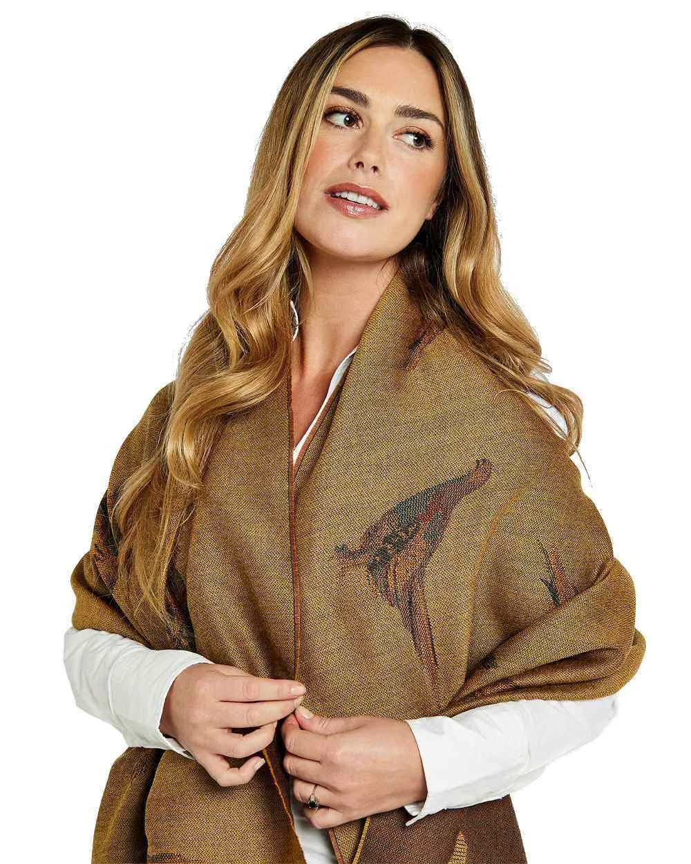 Dubarry Birchdale Wool Stole