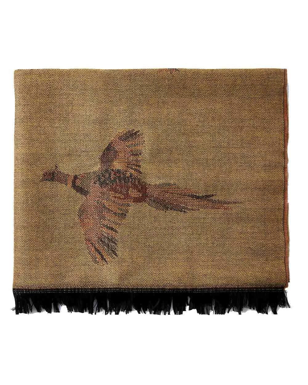 Dubarry Birchdale Wool Stole