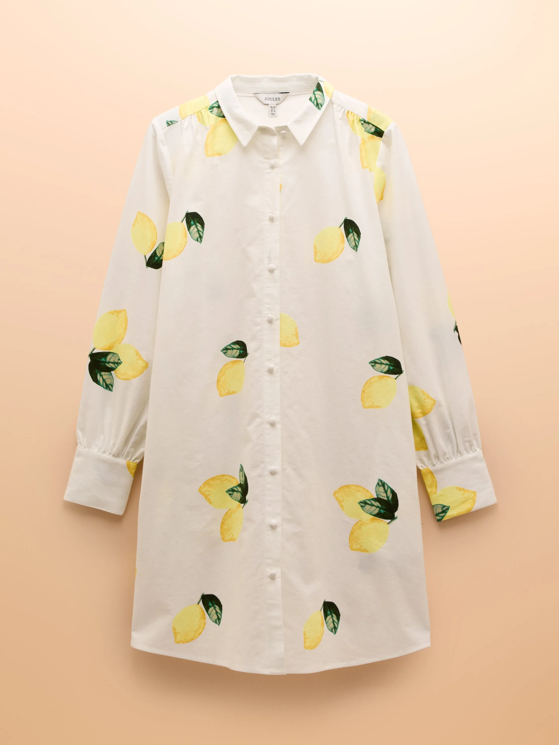 Joules Phoebe Shirt Dress
